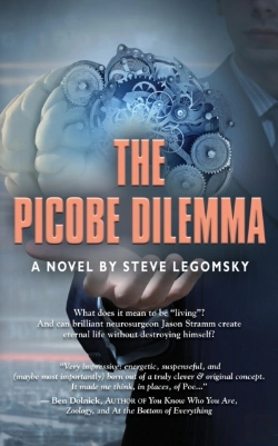 Bertrand.pt - The Picobe Dilemma