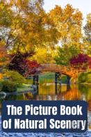 The Picture Book Of Natural Scenery