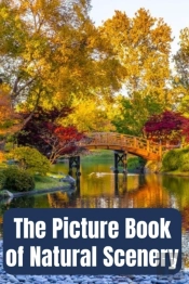 The Picture Book Of Natural Scenery