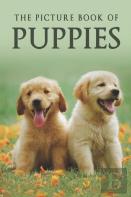 The Picture Book Of Puppies
