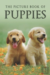 The Picture Book Of Puppies