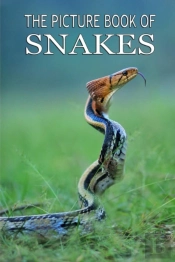 The Picture Book Of Snakes