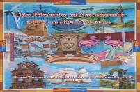 The Picture Of Yarmouth