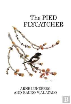 Bertrand.pt - The Pied Flycatcher