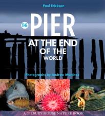 The Pier At The End Of The World