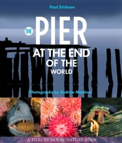 Bertrand.pt - The Pier At The End Of The World