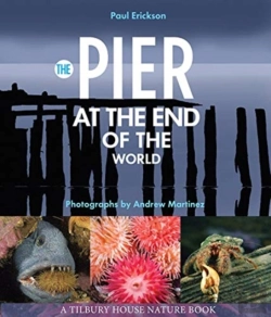 Bertrand.pt - The Pier At The End Of The World
