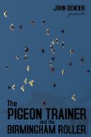 The Pigeon Trainer And The Birmingham Roller