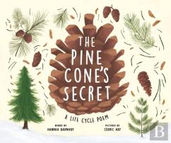 The Pine Cone'S Secret