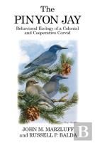 The Pinyon Jay
