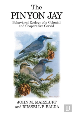 Bertrand.pt - The Pinyon Jay