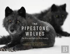 The Pipestone Wolves
