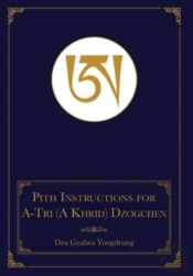 The Pith Instructions For The Stages Of The Practice Sessions Of The A Khrid System Of Bon Rdzogs Chen (Great Completion) Meditation