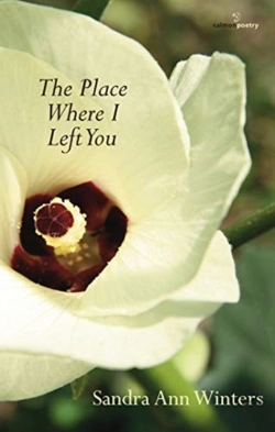 Bertrand.pt - The Place Where I Left You