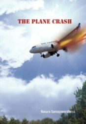 The Plane Crash