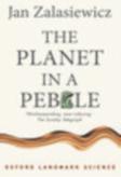 The Planet In A Pebble