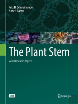 Bertrand.pt - The Plant Stem