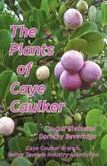 The Plants Of Caye Caulker