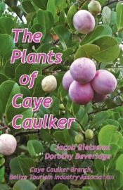 The Plants Of Caye Caulker