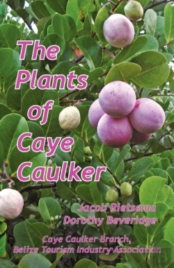 Bertrand.pt - The Plants Of Caye Caulker