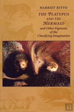 Bertrand.pt - The Platypus And The Mermaid
