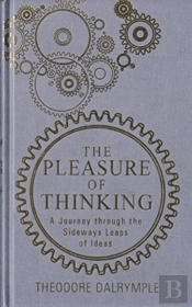 The Pleasure Of Thinking