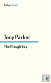 The Plough Boy