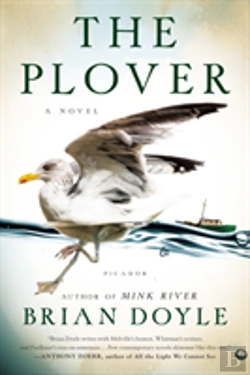 Bertrand.pt - The Plover