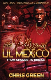 The Plug Of Lil Mexico
