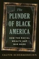 The Plunder Of Black America