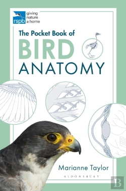 Bertrand.pt - The Pocket Book Of Bird Anatomy