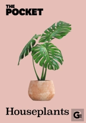 The Pocket Houseplants
