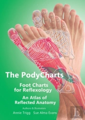 The Podycharts Foot Charts For Reflexology
