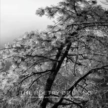 The Poetry Of Being