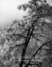 The Poetry Of Being