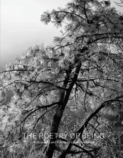 Bertrand.pt - The Poetry Of Being