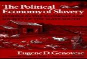 The Political Economy Of Slavery
