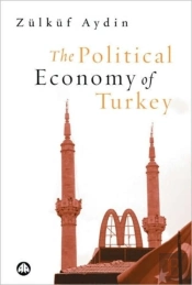 The Political Economy Of Turkey