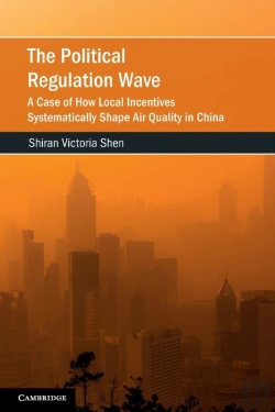 Bertrand.pt - The Political Regulation Wave