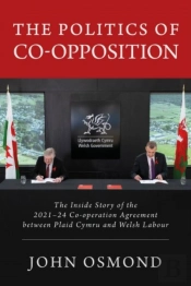 The Politics Of Co-Opposition