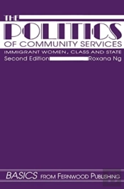 The Politics Of Community Services (Second Edition)