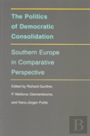 The Politics Of Democratic Consolidation