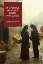The Politics Of Human Rights Protection