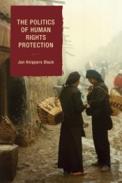 The Politics Of Human Rights Protection