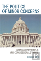 The Politics Of Minor Concerns