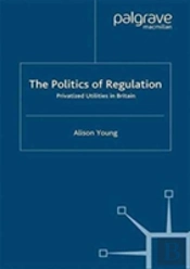 The Politics Of Regulation