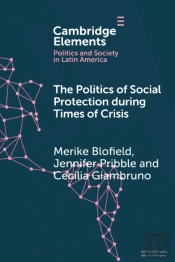 The Politics Of Social Protection During Times Of Crisis