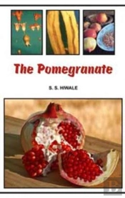 The Pomegranate