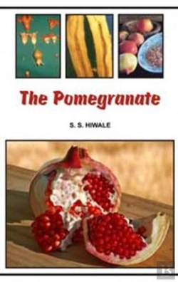 Bertrand.pt - The Pomegranate