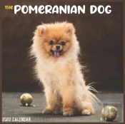 The Pomeranian Dog 2022 Calendar